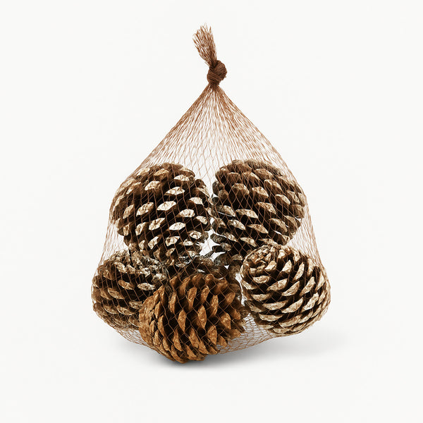 Pine Cone - 4 Pcs
